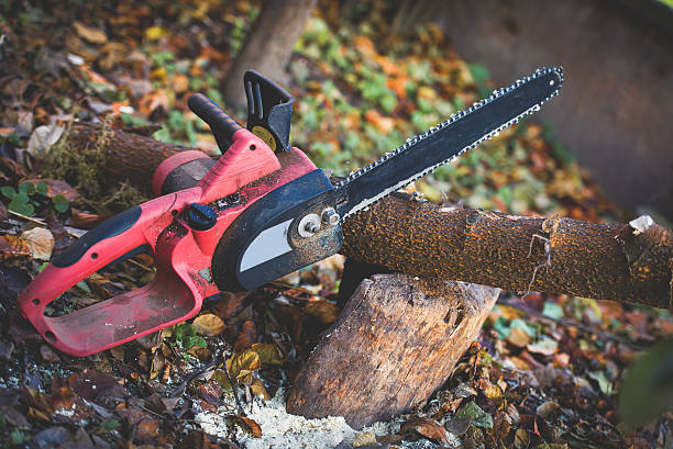 Velda City, MO Tree Care Company